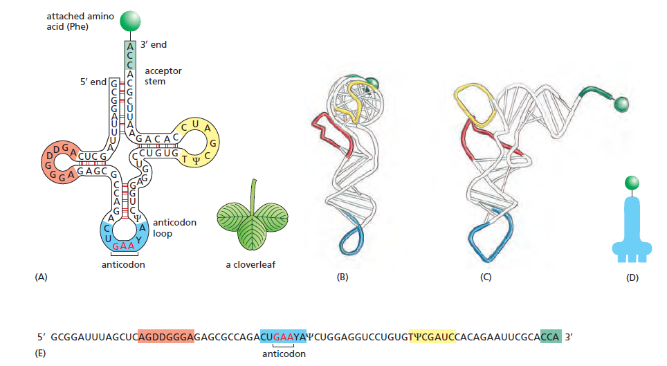 Figure 6-50.png